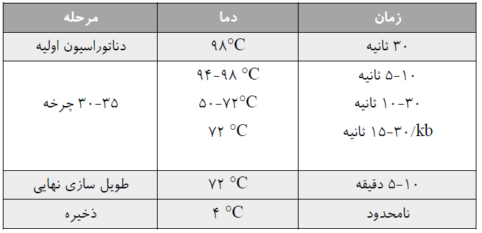مسترمیکس آنزیم DNA پلیمراز pfu نوترکیب (X2)